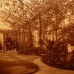 Ausschnitt histor. Foto Amor Wintergarten