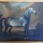 I_II_89_S331_Nr26_Apfelschimmel_Rohrenfeld