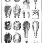 Fast eine Wissenschaft: Perückentypen aus der Encylopédie von Diderot und d'Alembert