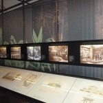 In Raum 54 des Residenzmseums kann man sich über die königlichen Wintergärten informieren