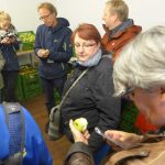 Die Teilnehmer des Lustwandelns verkosten alte Apfelsorten im Obstverkauf der Schlossgärtnerei von Schleißheim
