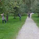 Der historische Obstgarten in Schleißheim wird von den Teilnehmern des Tweetwalks begeistert angenommen.