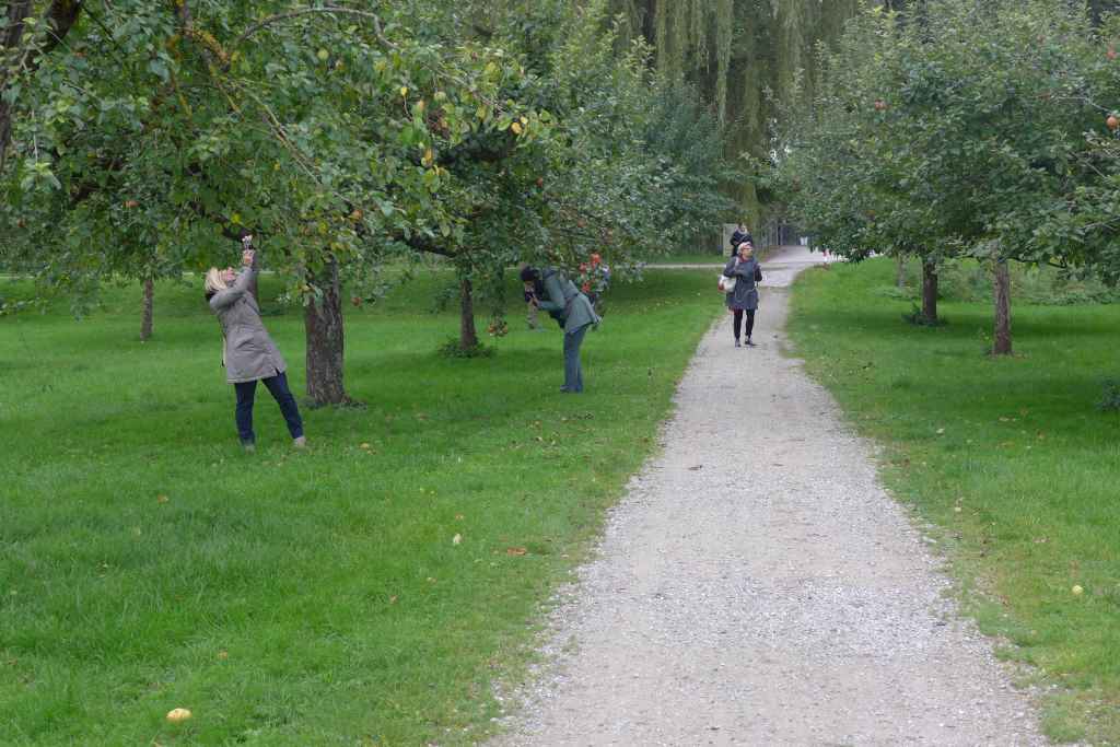 Der historische Obstgarten in Schleißheim wird von den Teilnehmern des Tweetwalks begeistert angenommen.