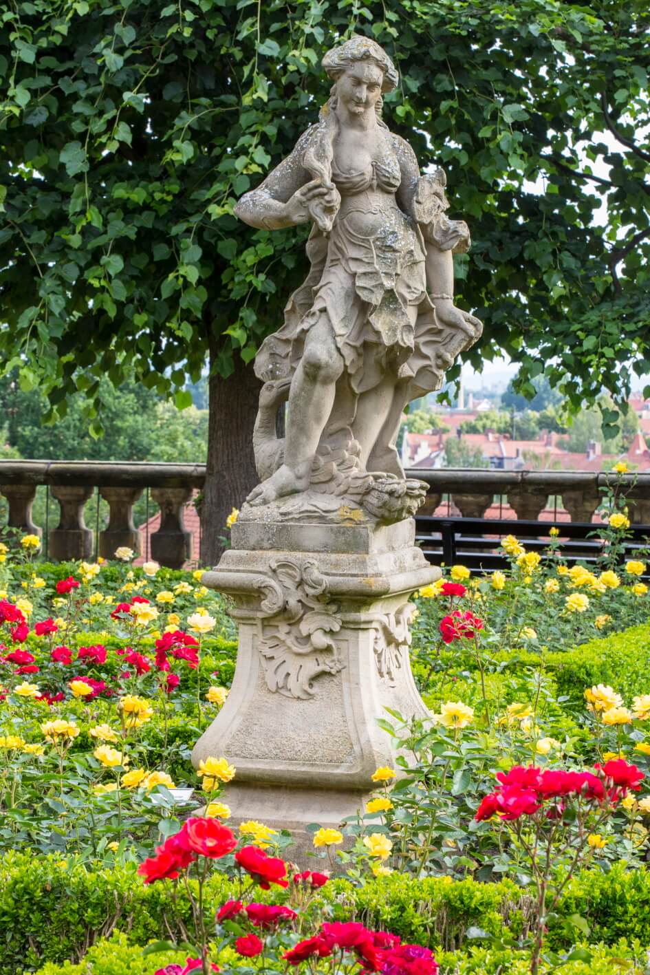 Rosengarten der Neuen Residenz Bamberg