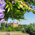 Blumige Aussichten auf Schloss Johannisburg