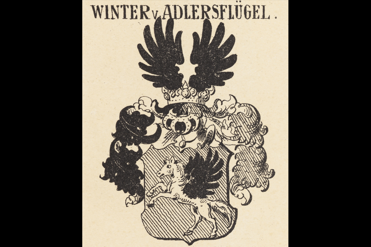 Winter_von_Adlersfluegel