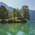Bäume auf einer Insel im Königssee Berchtesgaden