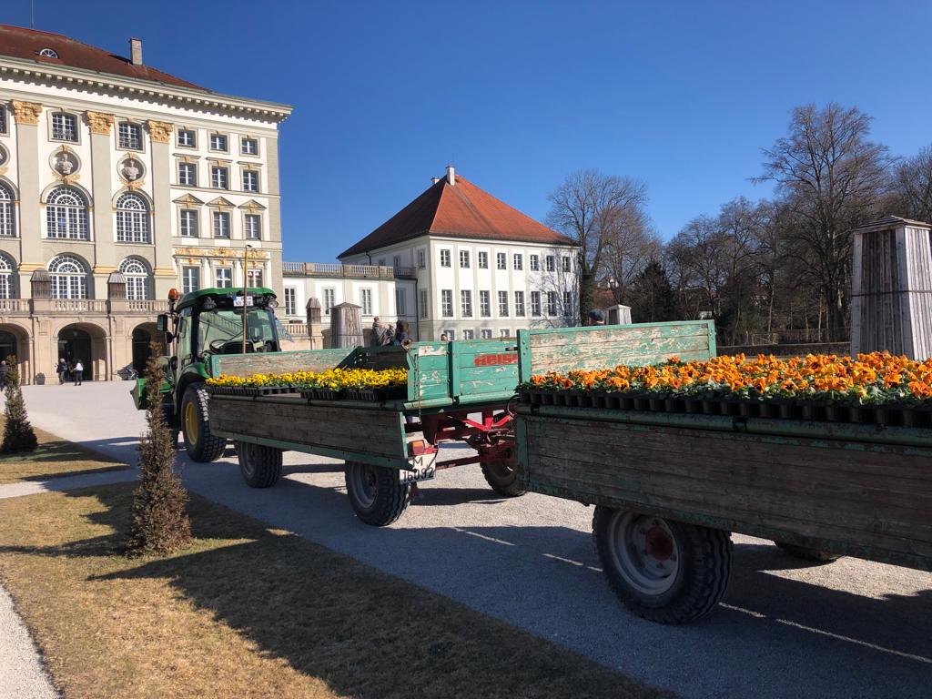 Frühjahrsbepflanzung Schlossparterre Nymphenburg Wagen