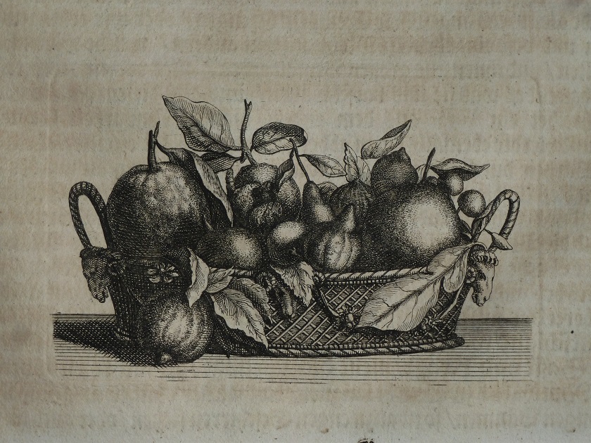Korb mit unterschiedlichen Zitrusfrüchten aus Johann Christoph Volkamer, Nürnbergische Hesperides, Nürnberg 1708