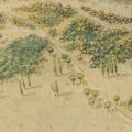 Säulenpappeln, Haine und geschlossene Gehölzbereiche im Plan B zum Englischen Garten aus dem Jahr 1807, Inventarnummer MÜ-05-05-11