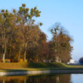 nymphenburg kanal misteln