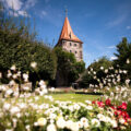 Kaiserburg Nürnberg Garten