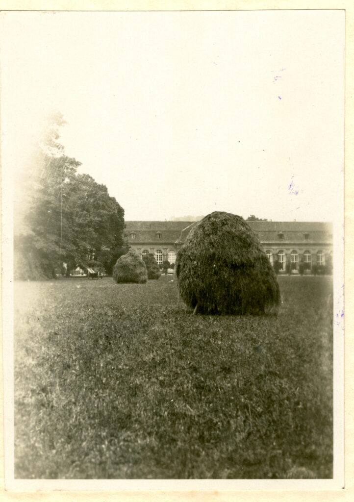 Heuböcke_1929
